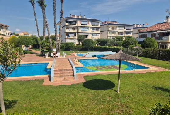 Resale - Apartment / flat - La Mata