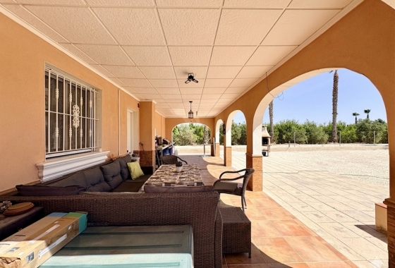 Revente - Finca - Dolores - Costa Blanca