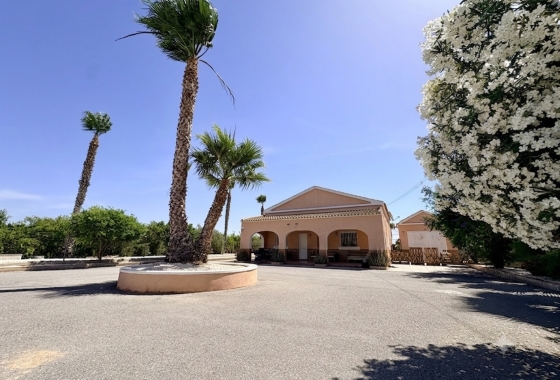 Revente - Finca - Dolores - Costa Blanca