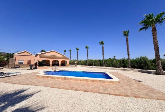 Revente - Finca - Dolores - Costa Blanca