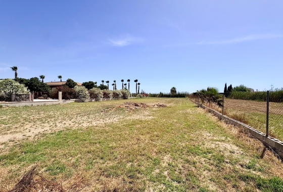 Revente - Finca - Dolores - Costa Blanca