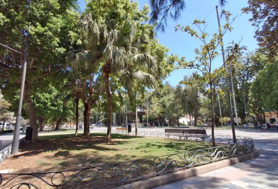 Wiederverkauf - Wohnung - Orihuela - Zona Centro