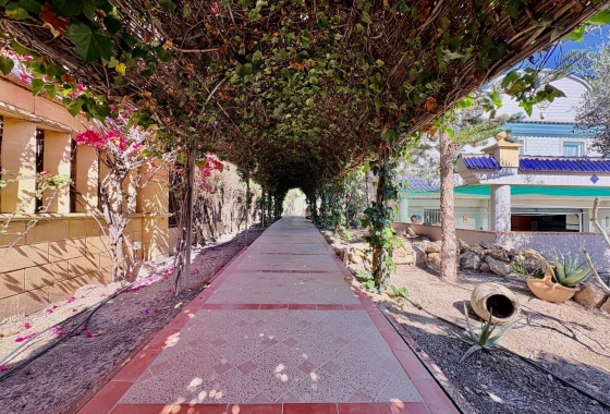 Revente - Finca - San Fulgencio - Costa Blanca