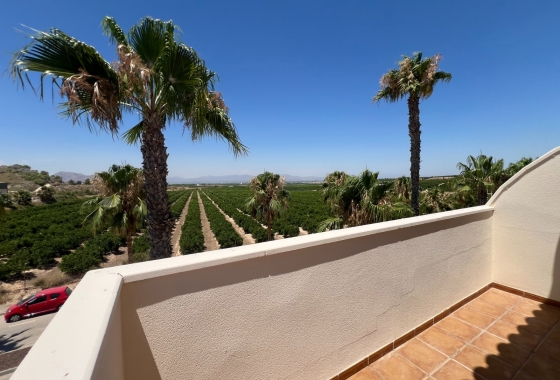 Revente - Villa - Algorfa - Inland
