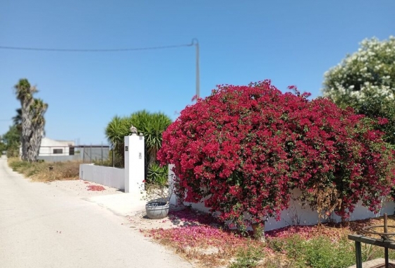Revente - Finca - Daya Nueva - Costa Blanca