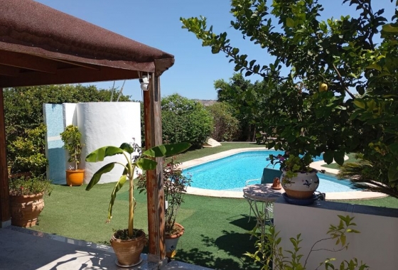 Revente - Finca - Daya Nueva - Costa Blanca
