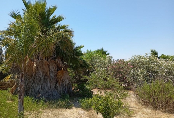 Revente - Finca - Daya Nueva - Costa Blanca