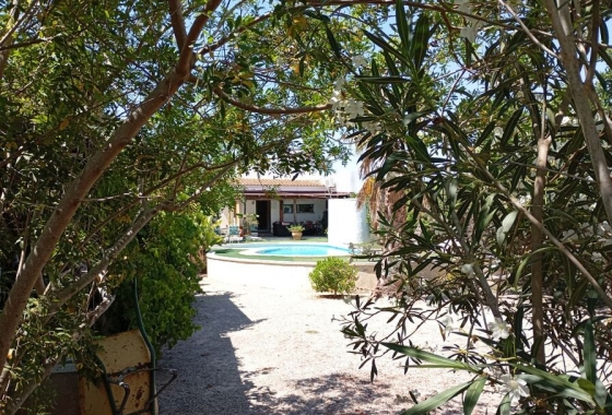 Revente - Finca - Daya Nueva - Costa Blanca