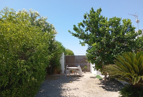Revente - Finca - Daya Nueva - Costa Blanca