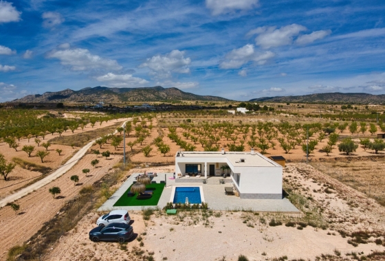 Återförsäljning - Villa - Pinoso - Inland
