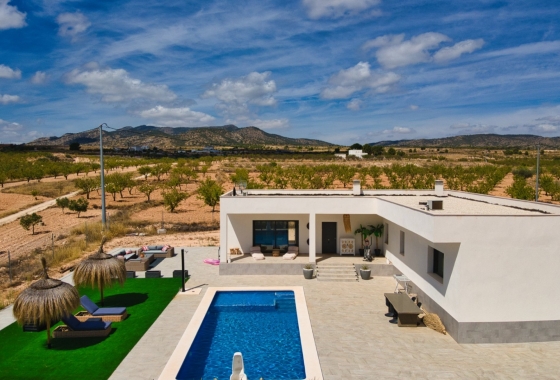 Återförsäljning - Villa - Pinoso - Inland