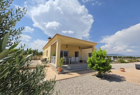 Återförsäljning - Villa - Pinoso - Inland