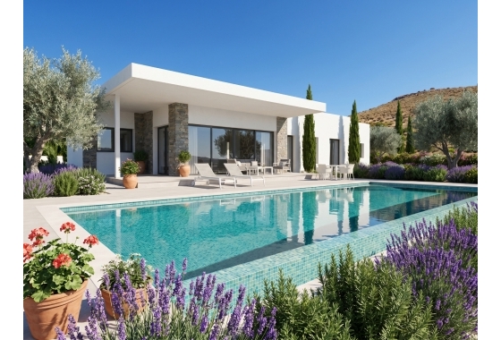 Revente - Villa - Pinoso - Inland