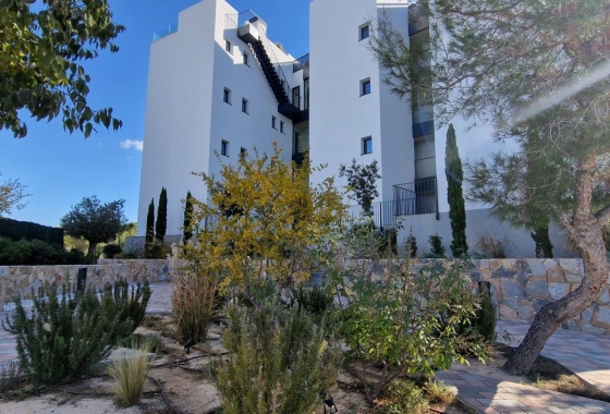 Resale - Apartment / flat - Orihuela - Las Colinas Golf