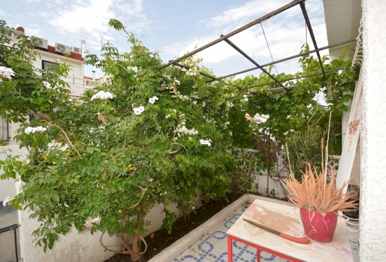 Resale - Townhouse - Torrevieja - Costa Blanca