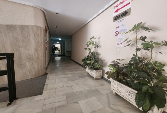 Wiederverkauf - Wohnung - Torrevieja - Playa del Acequión