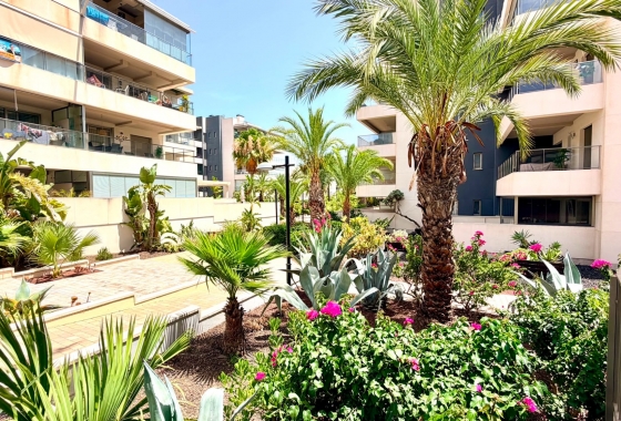 Перепродажа - Квартира - Orihuela Costa - La Zenia