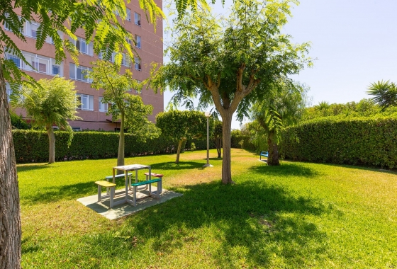 Перепродажа - Квартира - La Mata - Costa Blanca