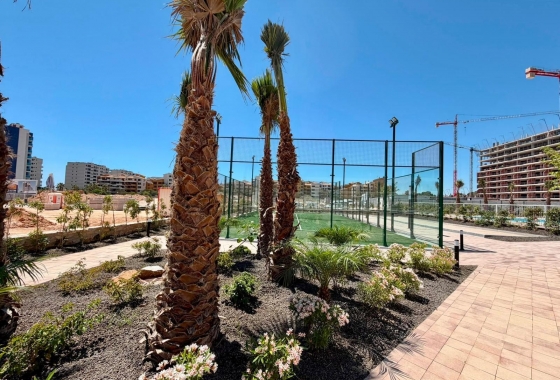 Återförsäljning - Lägenhet / lägenhet - Torrevieja - Punta Prima