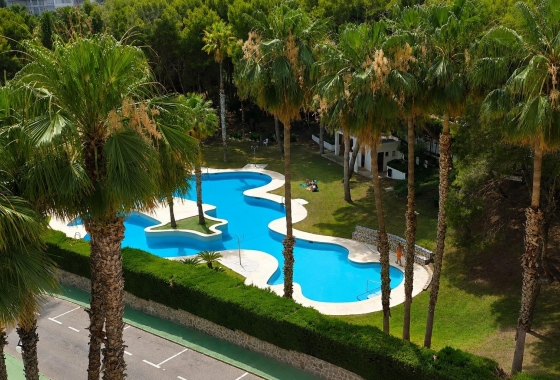 Herverkoop - Appartement / flat - Orihuela Costa - Altos De Campoamor