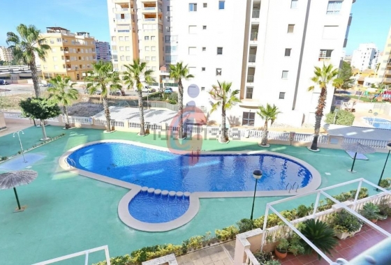 Herverkoop - Appartement / flat - Guardamar del Segura - Centro