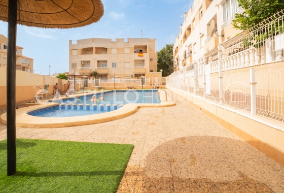 Перепродажа - Пентхаус - Torrevieja - Nueva Torrevieja - Aguas Nuevas