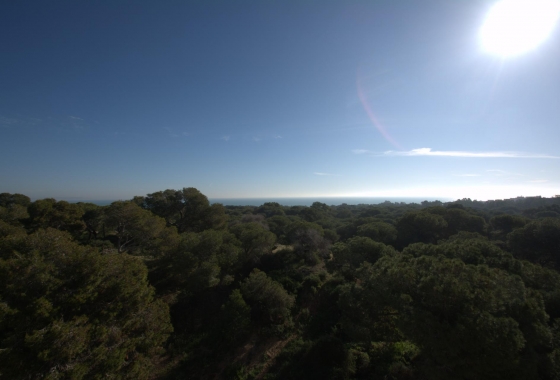Новостройка - Квартира - Guardamar del Segura - Pueblo