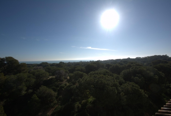 New Build - Penthouse - Guardamar del Segura - Pueblo