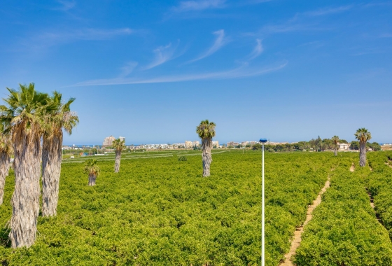 Resale - Townhouse - Torrevieja - Los Balcones