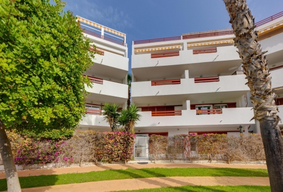 Resale - Apartment / flat - Orihuela Costa - Playa Flamenca