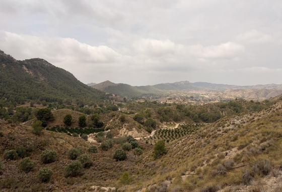 Resale - Finca - Gea Y Truyols - Sierra de Columbares Natural Park