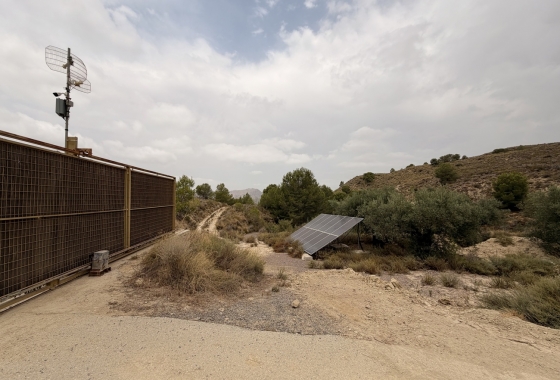 Resale - Finca - Gea Y Truyols - Sierra de Columbares Natural Park