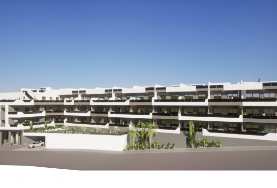 New Build - Penthouse - Benijofar - Pueblo