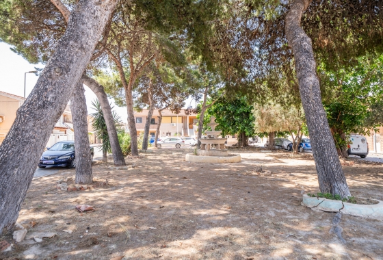 Revente - Appartement - Torrevieja - La Veleta