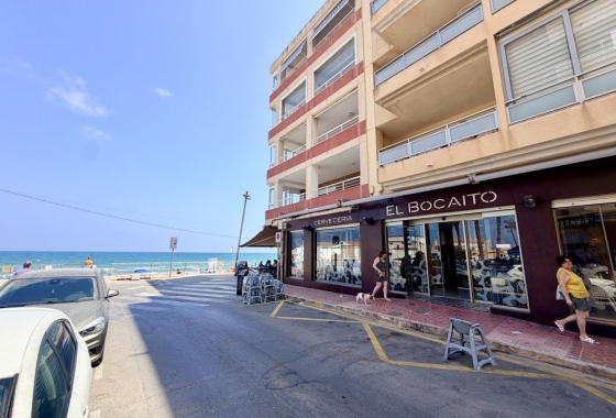 Resale - Apartment / flat - Guardamar del Segura - Costa Blanca