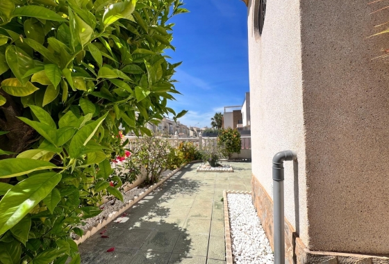 Herverkoop - Herenhuis - Torrevieja - Torre La Mata