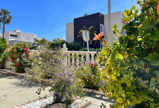 Herverkoop - Herenhuis - Torrevieja - Torre La Mata