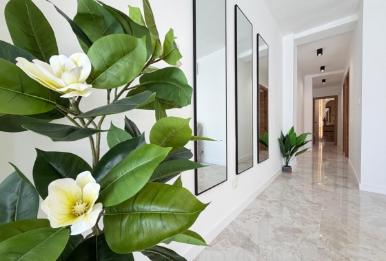 Wiederverkauf - Penthouse - Torrevieja - Playa del Cura
