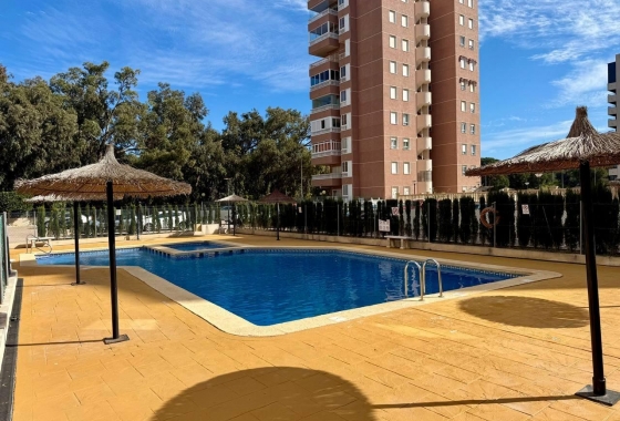 Resale - Apartment / flat - Guardamar del Segura - Puerto
