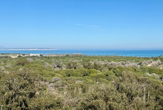 Resale - Apartment / flat - Guardamar del Segura - Puerto