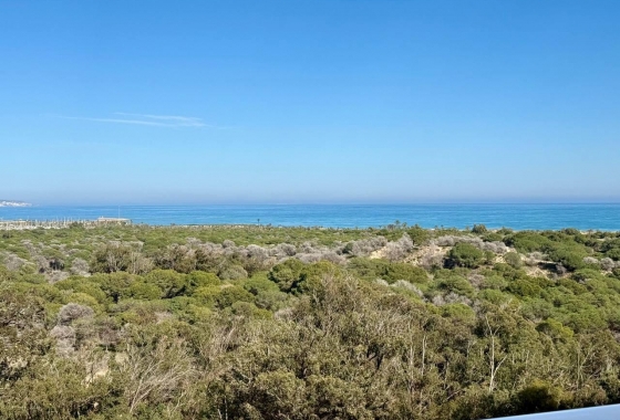 Resale - Apartment / flat - Guardamar del Segura - Puerto