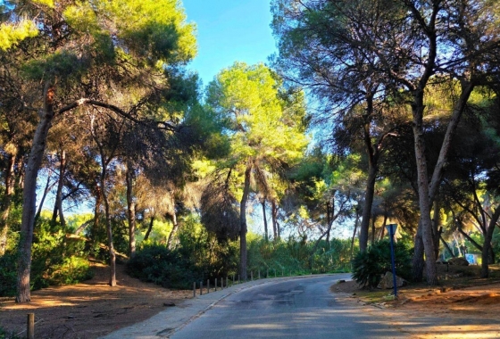 Resale - Townhouse - Orihuela Costa - Altos De Campoamor