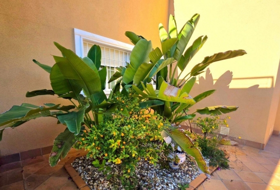 Resale - Townhouse - Orihuela Costa - Altos De Campoamor