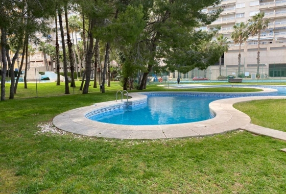 Resale - Apartment / flat - Orihuela Costa - Campoamor