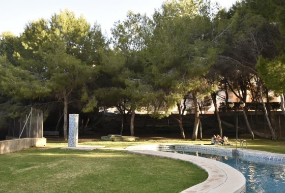 Resale - Apartment / flat - Orihuela Costa - Campoamor