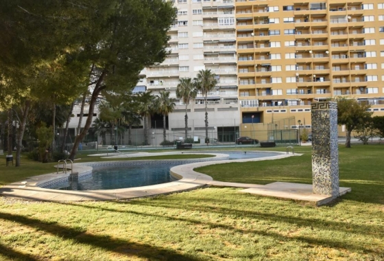 Resale - Apartment / flat - Orihuela Costa - Campoamor