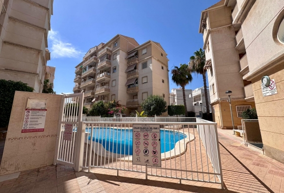 Reventa - Apartamento / piso - Torrevieja - Habaneras