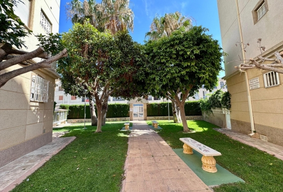 Reventa - Apartamento / piso - Torrevieja - Habaneras