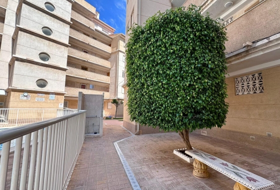 Reventa - Apartamento / piso - Torrevieja - Habaneras
