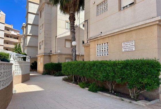 Reventa - Apartamento / piso - Torrevieja - Habaneras